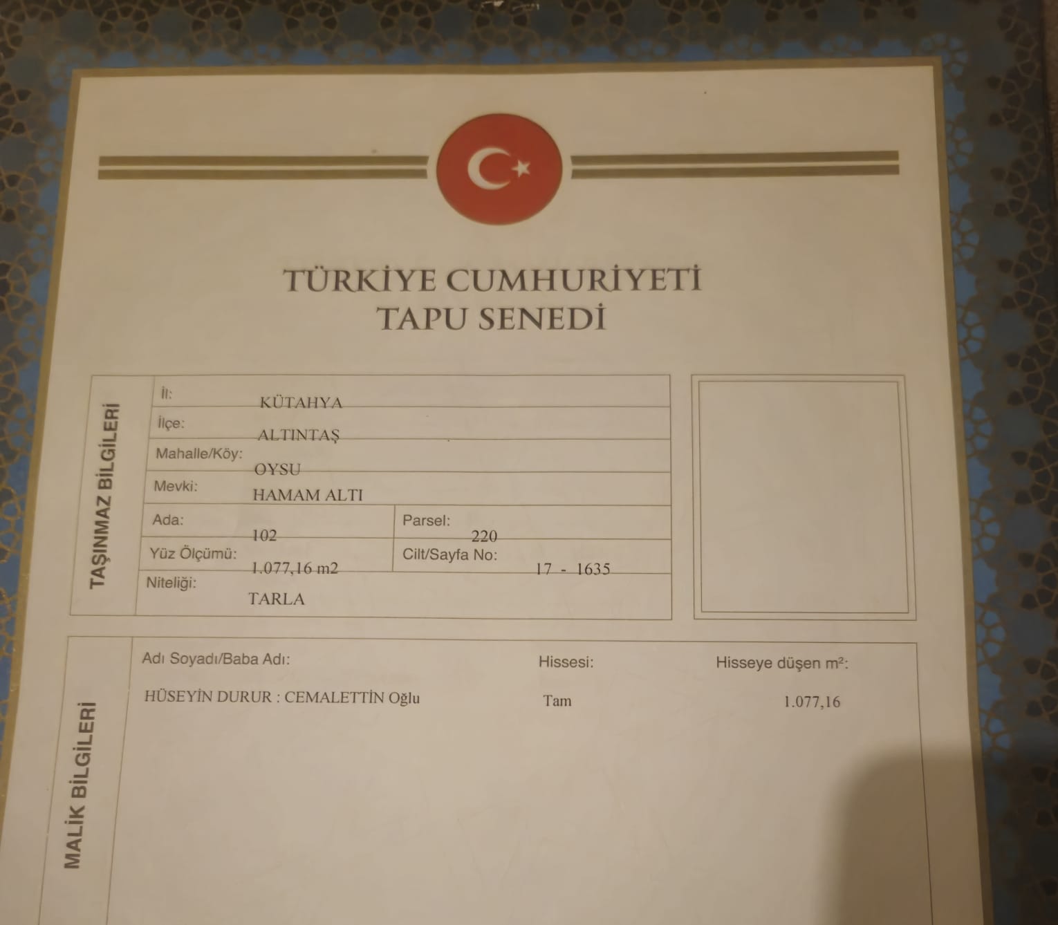 Fotoğraf